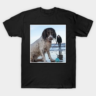 English Springer Spaniel T-Shirt